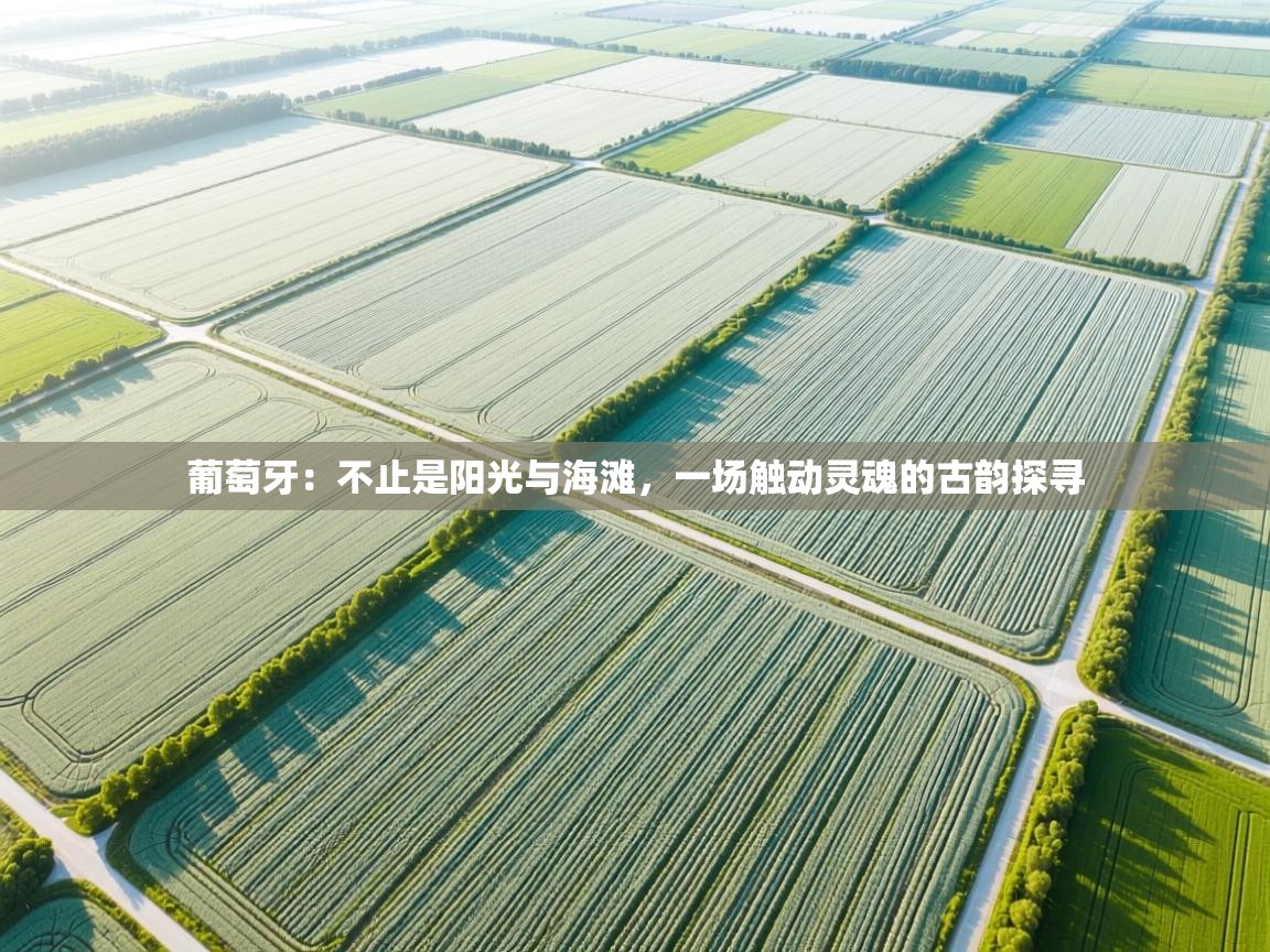 葡萄牙：不止是阳光与海滩，一场触动灵魂的古韵探寻  第2张